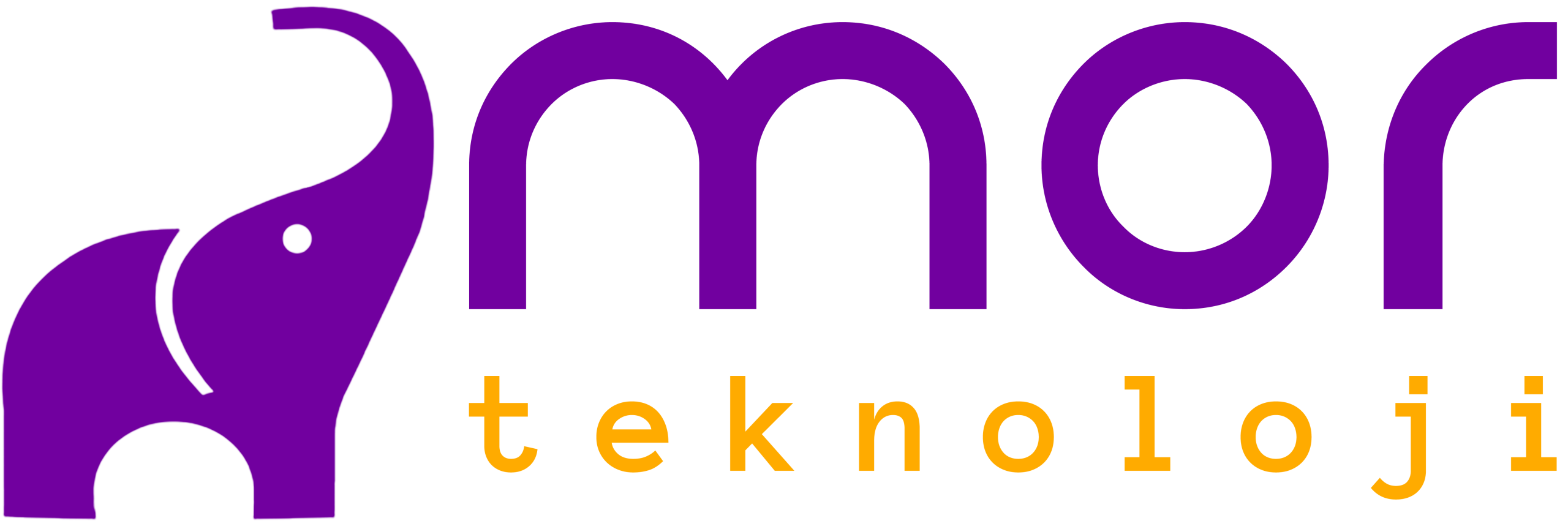 Mor Teknoloji Logo